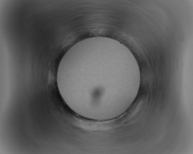 X0000087330040200705112205