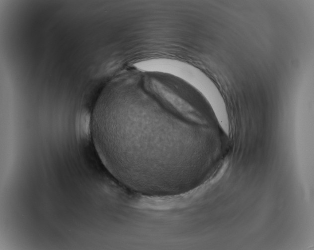 X0000087330041200705112205