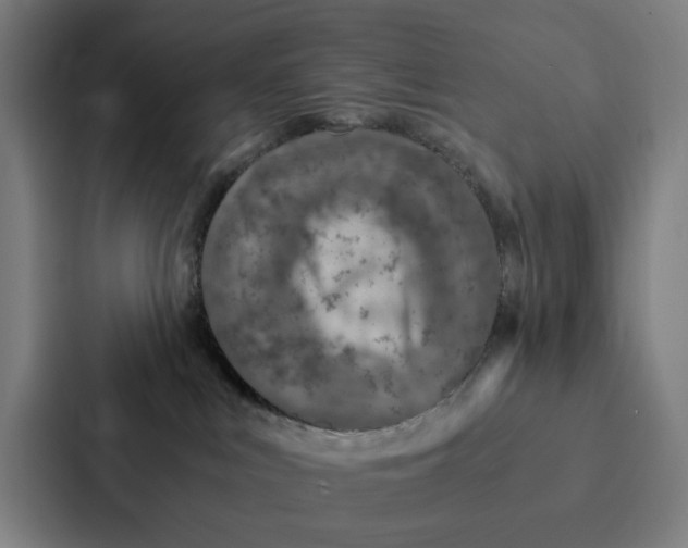 X0000087330043200705112205
