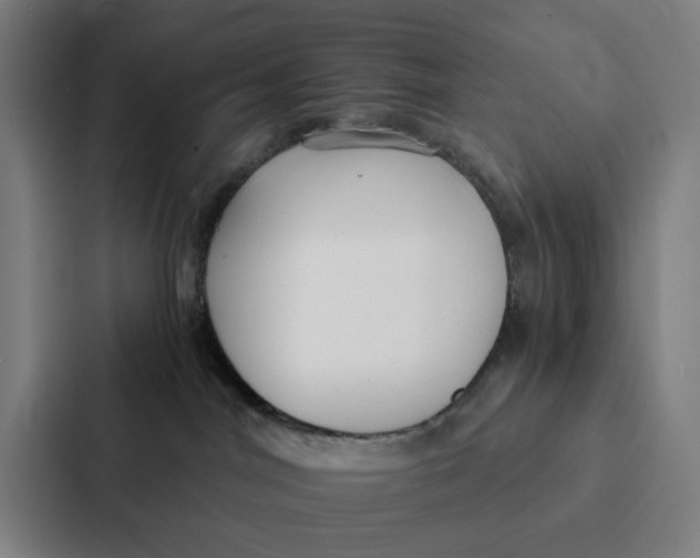 X0000087330044200705112205