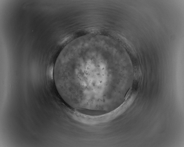 X0000087330047200705112205