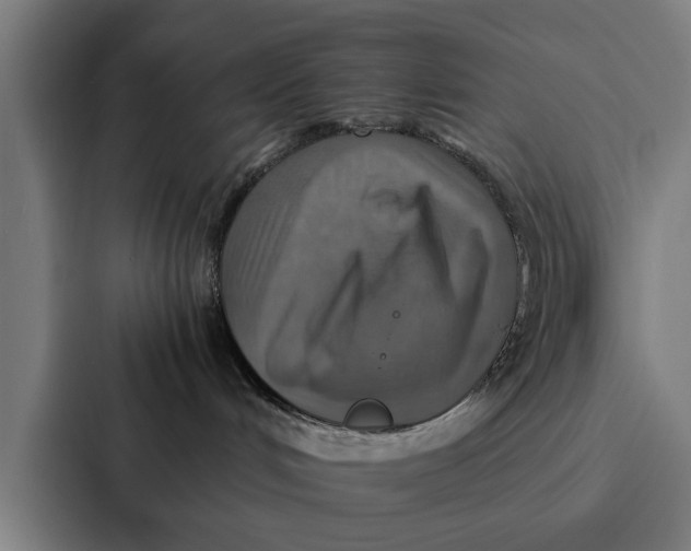 X0000087330048200705112205