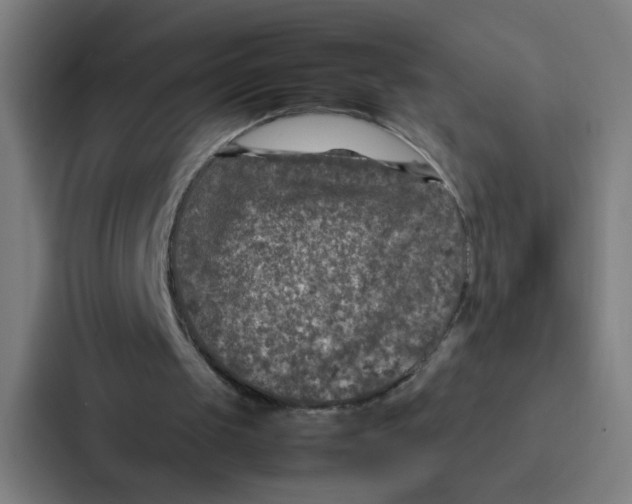 X0000087330049200705112205