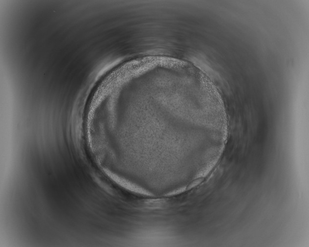 X0000087330050200705112205