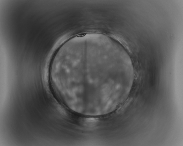 X0000087330053200705112205