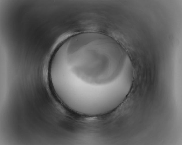 X0000087330054200705112205