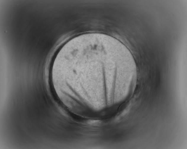 X0000087330055200705112205
