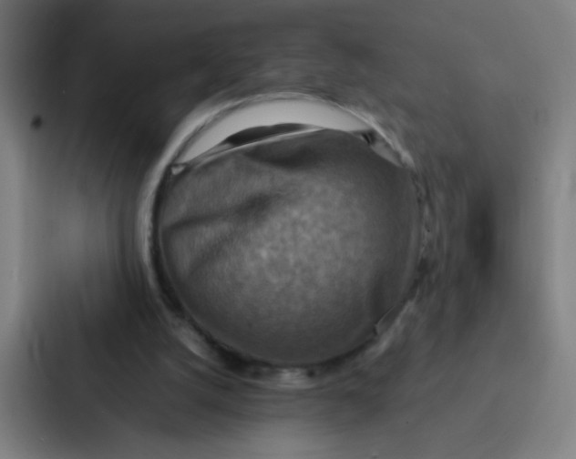 X0000087330056200705112205