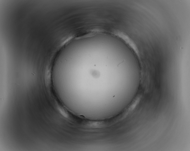 X0000087330057200705112205