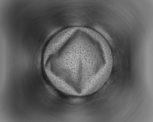 X0000087330058200705112205