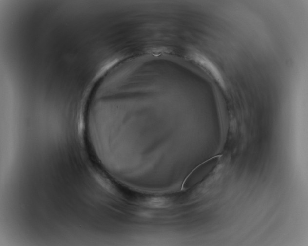 X0000087330059200705112205