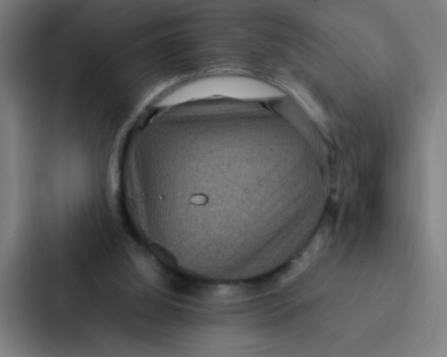 X0000087330060200705112205