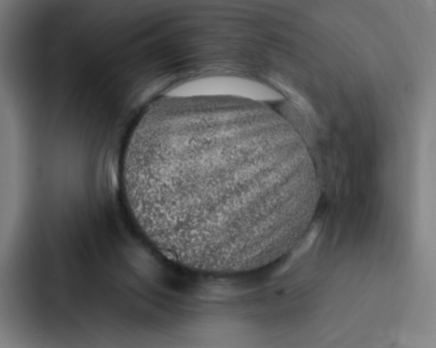 X0000087330062200705112205