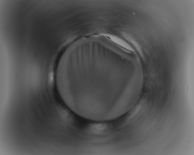 X0000087330067200705112205