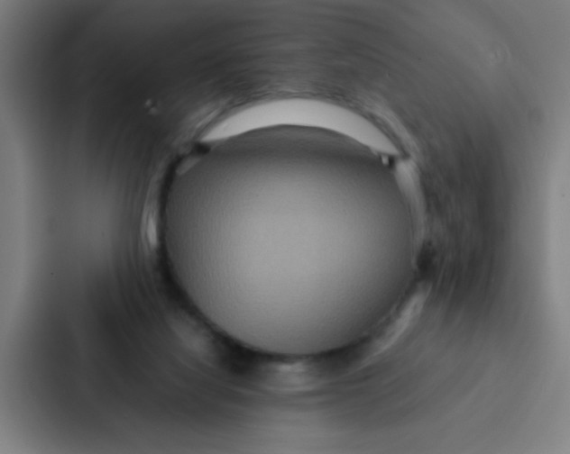 X0000087330068200705112205