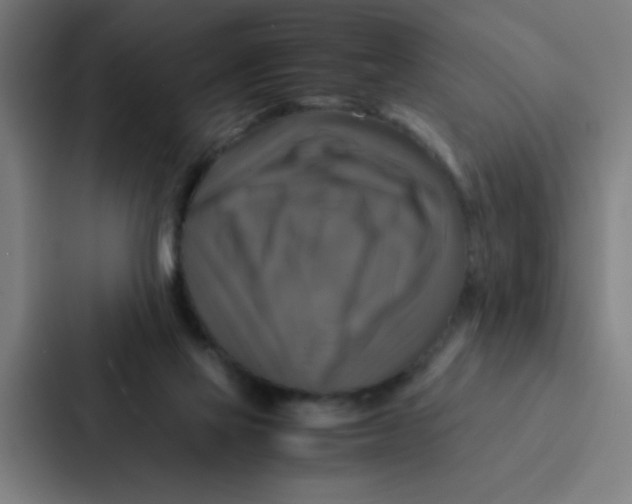 X0000087330069200705112205