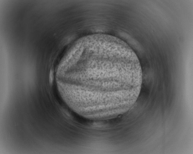 X0000087330070200705112205
