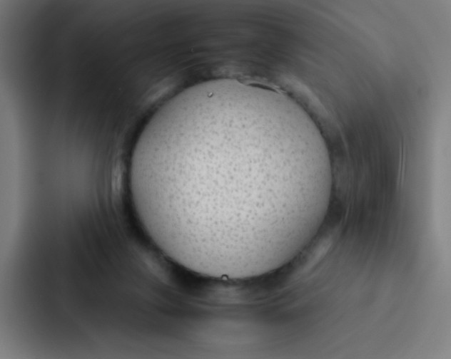 X0000087330071200705112205
