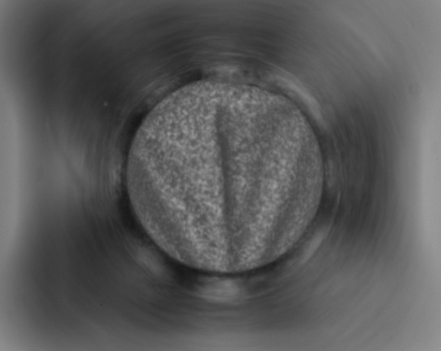 X0000087330073200705112205
