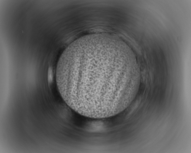 X0000087330075200705112205