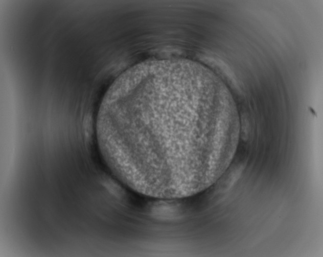 X0000087330077200705112205