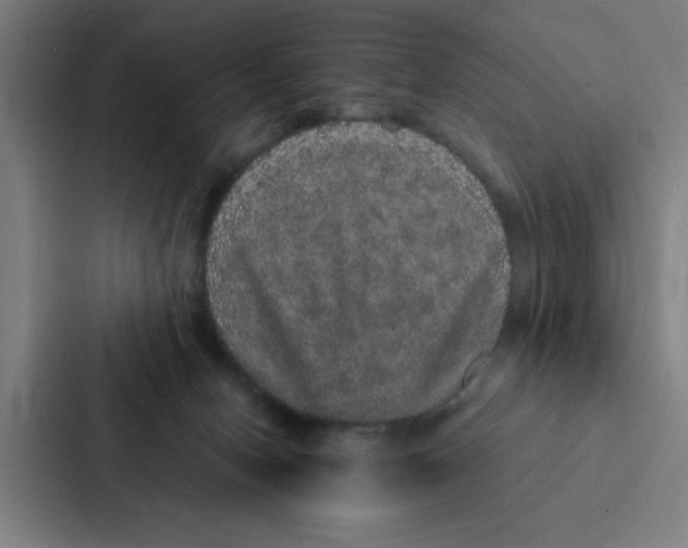 X0000087330078200705112205