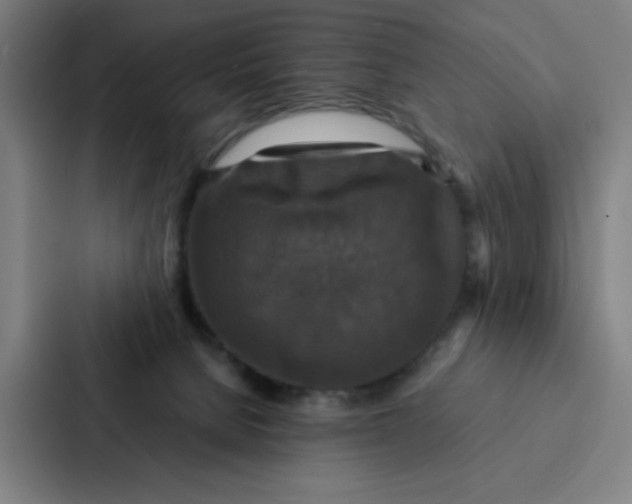 X0000087330080200705112205
