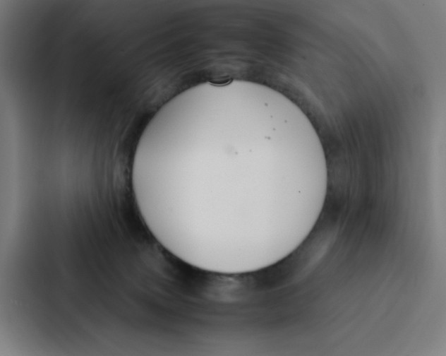 X0000087330083200705112205