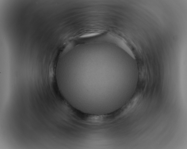 X0000087330084200705112205