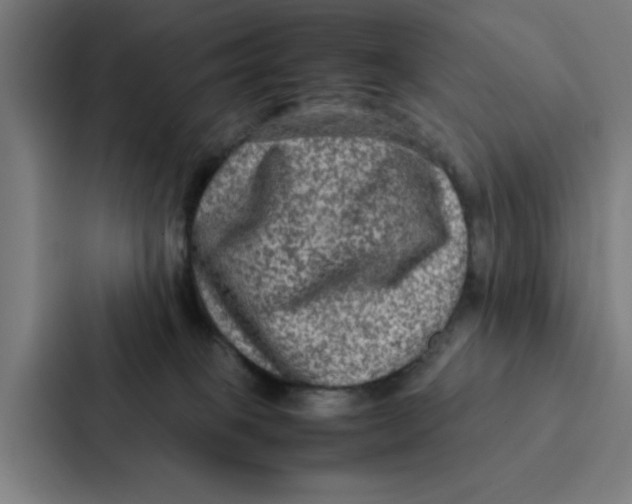 X0000087330085200705112205