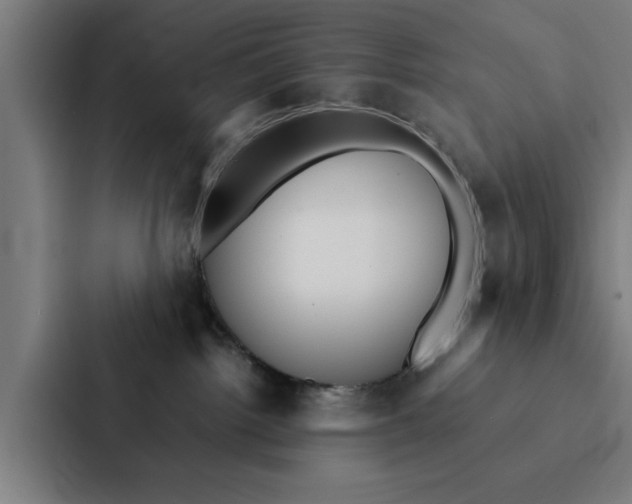 X0000087330092200705112205