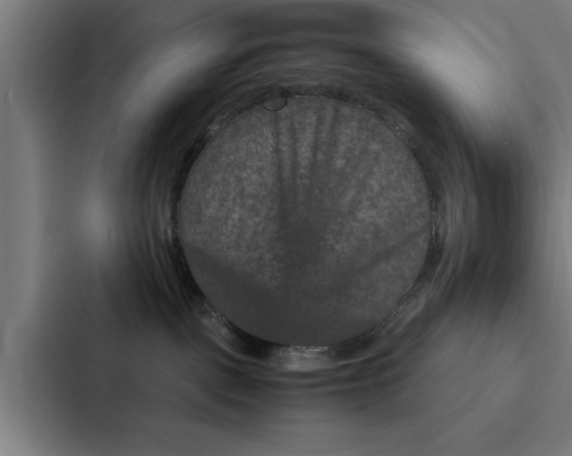 X0000087330093200705112205