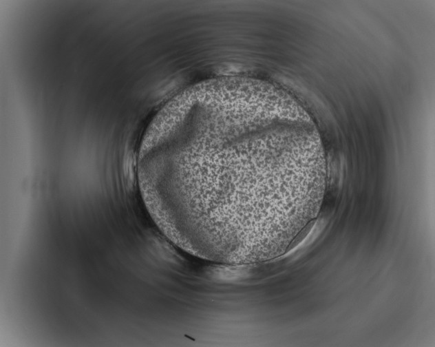 X0000087330094200705112205