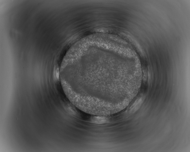 X0000087330095200705112205