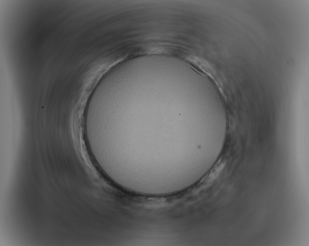 X0000087330097200705112205