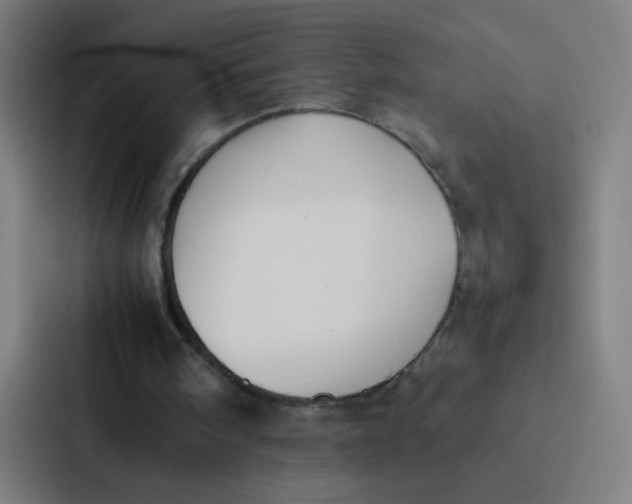 X0000087330098200705112205