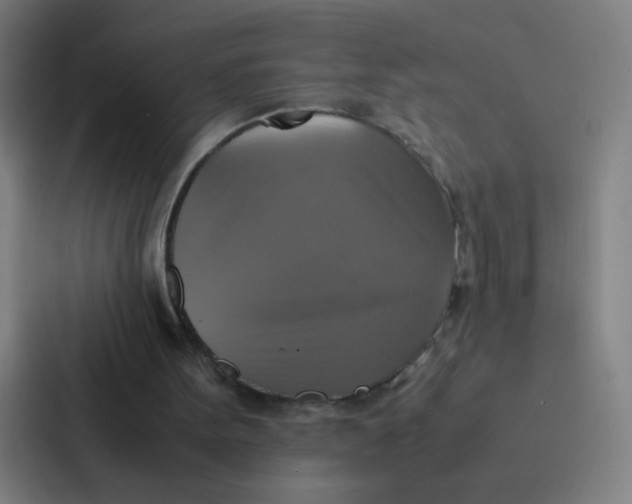 X0000087330099200705112205