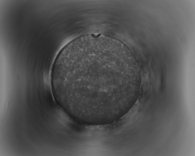 X0000087330100200705112205