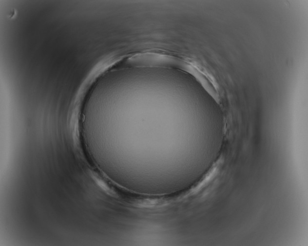X0000087330101200705112205