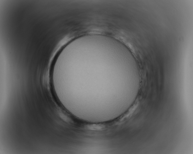X0000087330102200705112205