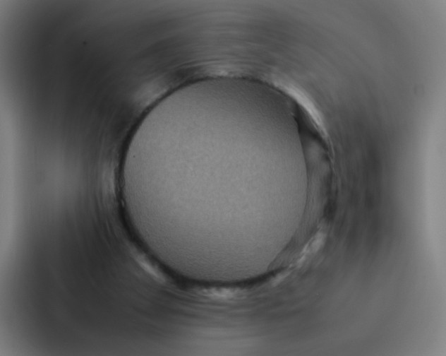 X0000087330105200705112205