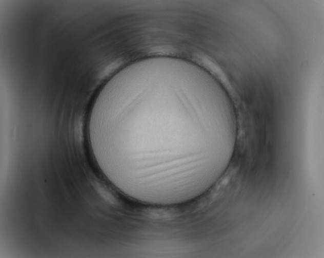 X0000087330106200705112205