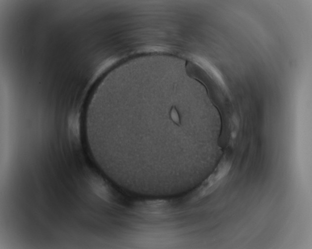 X0000087330108200705112205