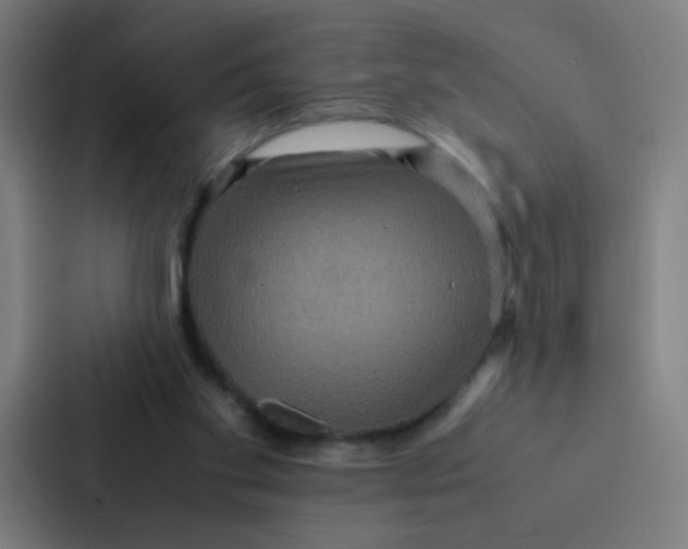 X0000087330109200705112205