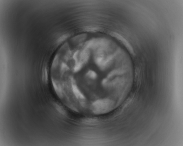 X0000087330110200705112205