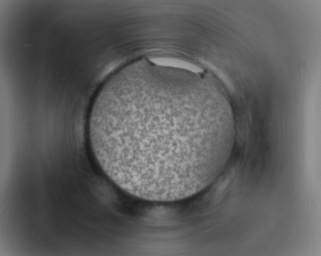 X0000087330111200705112205