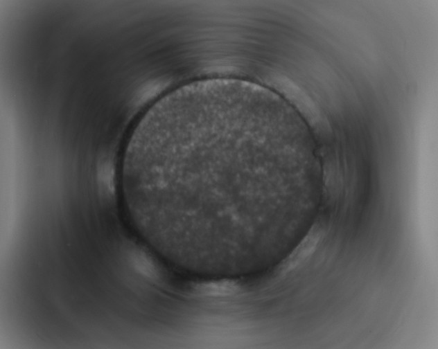 X0000087330112200705112204