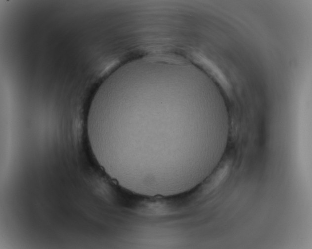 X0000087330113200705112204