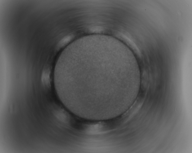 X0000087330116200705112204