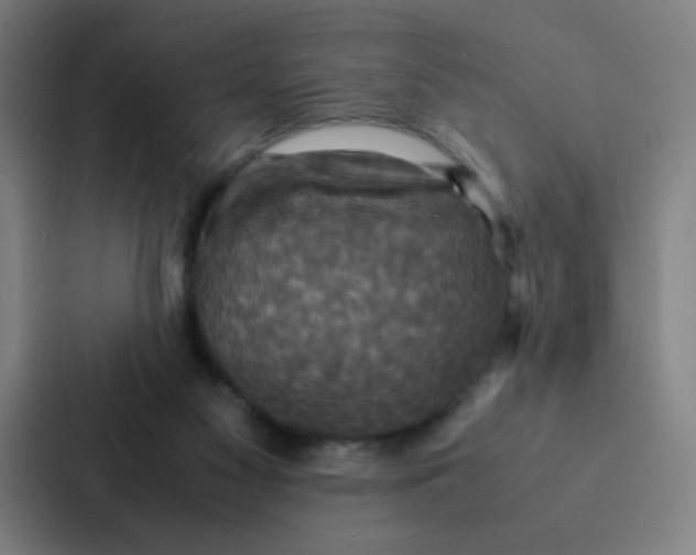 X0000087330117200705112204